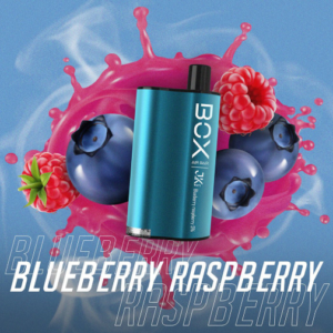 HQD Stark Blueberry Raspberry DISPOSABLE VAPE